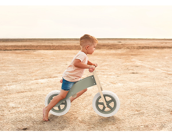 Bicicleta de equilibrio Speedy Monkey