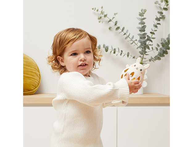 Silicone Rattle Bunny