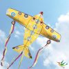 Cometa Maxi Plane