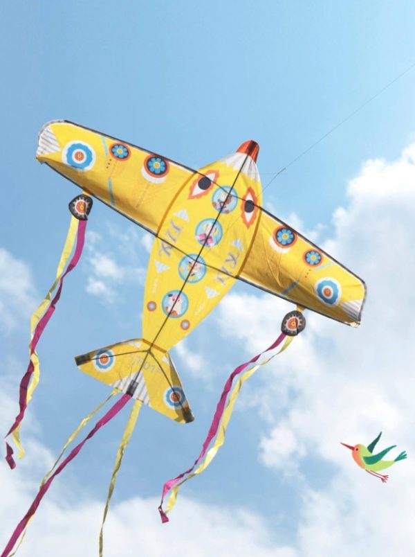 Cometa Maxi Plane