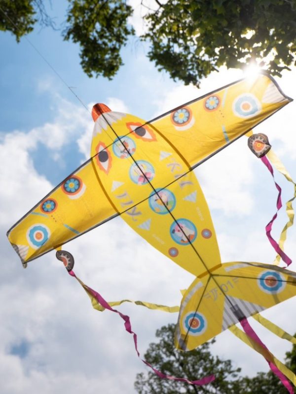 Cometa Maxi Plane