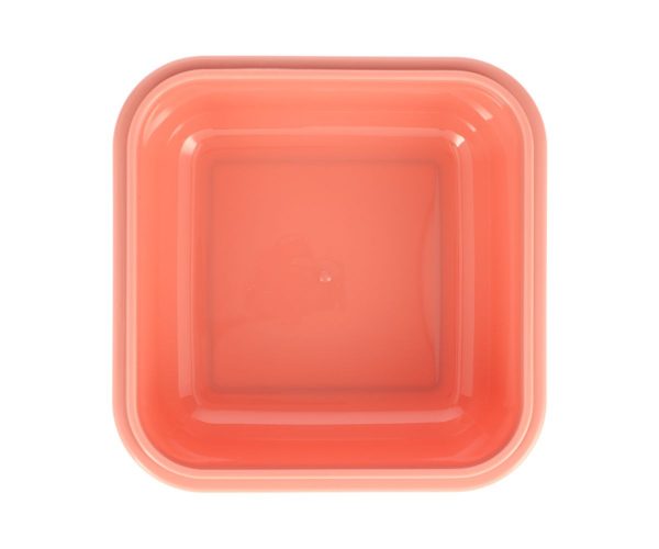 Caja Almuerzo Grande Wild Fairies