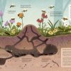 Plantas que hablan, animales que cantan / Plantes que parlen, animals que canten