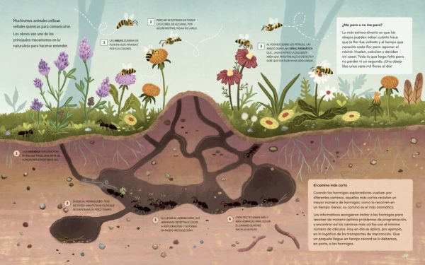 Plantas que hablan, animales que cantan / Plantes que parlen, animals que canten