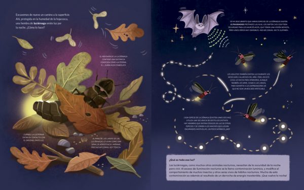 Plantas que hablan, animales que cantan / Plantes que parlen, animals que canten