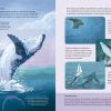 Plantas que hablan, animales que cantan / Plantes que parlen, animals que canten