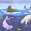Animales del mar / Animals del mar (Con linterna)