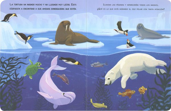 Animales del mar / Animals del mar (Con linterna)
