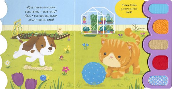 Divertidas mascotas