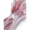 Paraguas Transparente Magical Unicorn