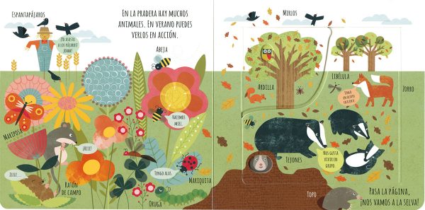 Animales salvajes (con solapas)