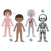 Puzzle educativo El cuerpo humano