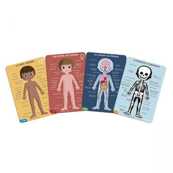 Puzzle educativo El cuerpo humano