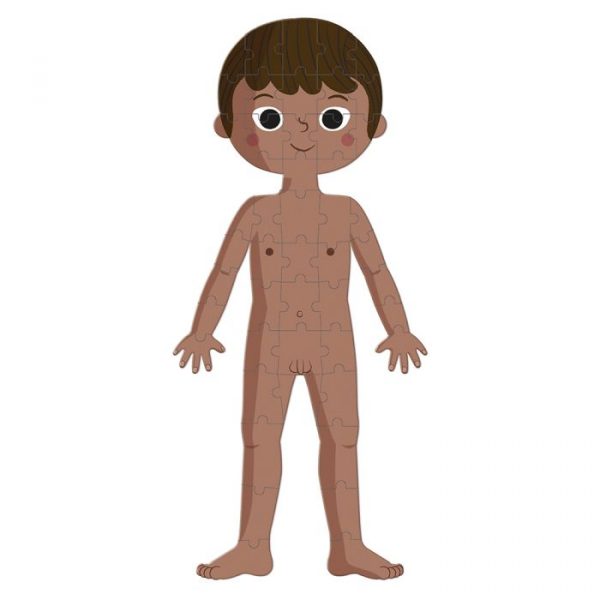 Puzzle educativo El cuerpo humano