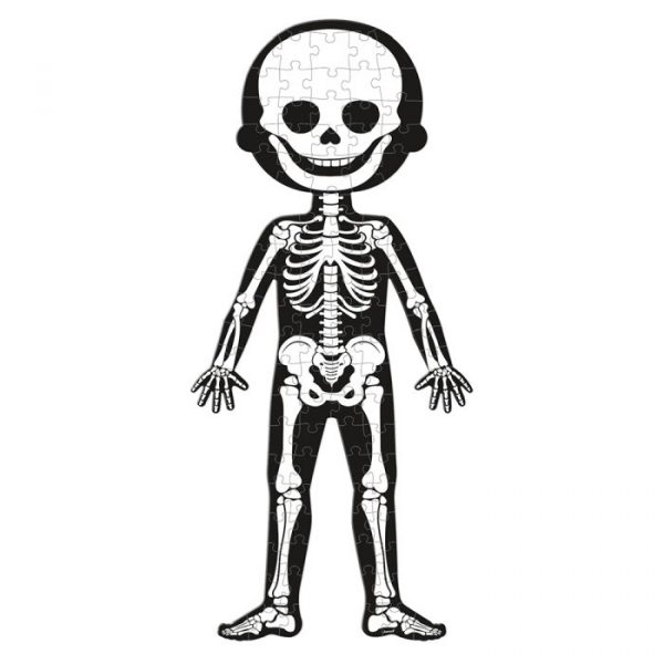Puzzle educativo El cuerpo humano