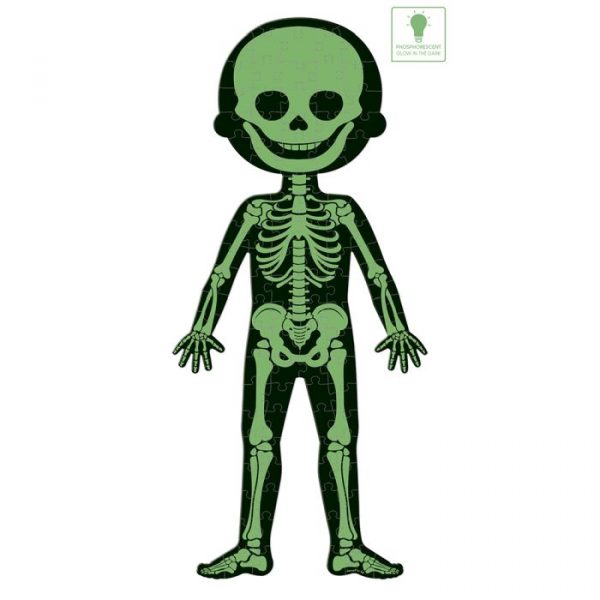 Puzzle educativo El cuerpo humano