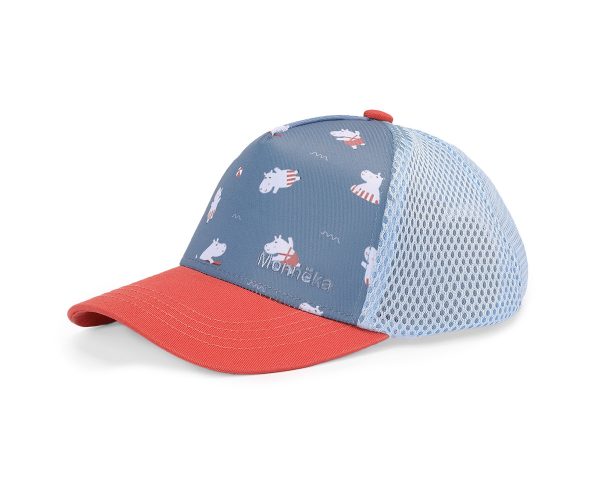 664140-1200x1000 Gorra Hippos