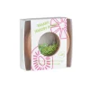 Sensory Donut Kiwis